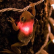 Illustration for article titled Glowing Cuban Tree Frogs Have Invaded Southern Florida